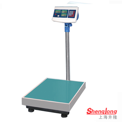 計數(shù)電子臺秤